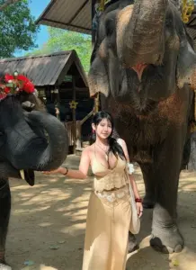 น้องฉลาม